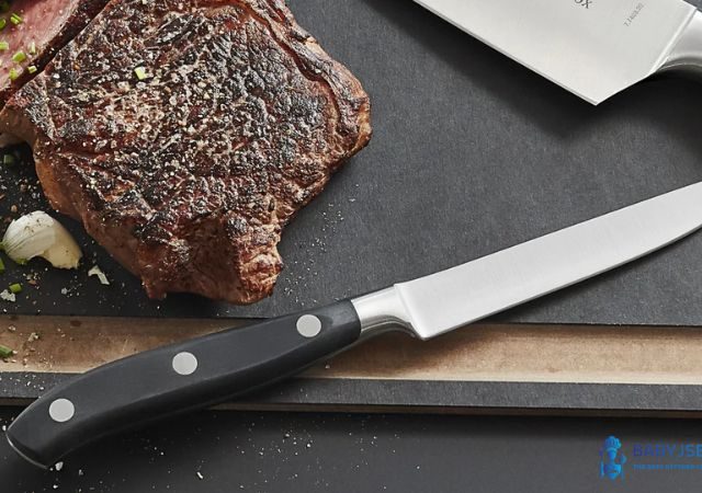 Best Knife for Cutting Steak: Top Picks for Perfect Slices Every Time